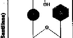 desoxirribonucleico Azúcar: desoxirribosa Bases Nitrogenadas: *Adenina (A) *Guanina (G)