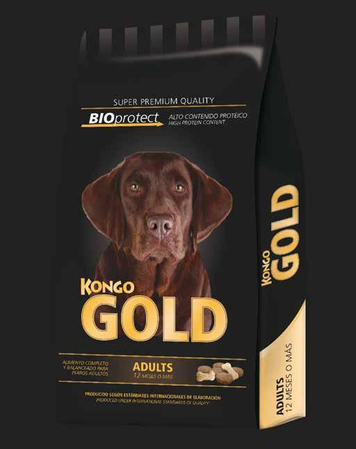 Rediseño Packaging Gold Cliente: Agroindustrias Baires / Año 2015 Realizamos una actualización en los diseños de la línea Gold (línea premium de alimento de la familia Kongo), para que acompañe el