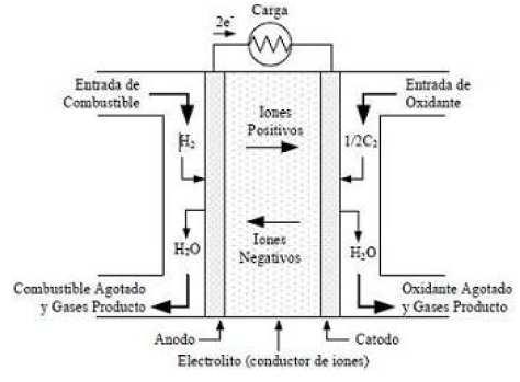 celda de combustible consiste en una capa de electrólito (que es una sustancia que contiene iones libres, que se comporta como un medio conductor eléctrico) en contacto con dos electrodos, uno