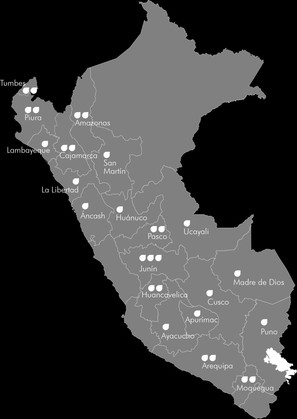Desempeño de los Gobiernos Regionales PLANEFA 24 Gobiernos Regionales aprobaron su PLANEFA en el 201