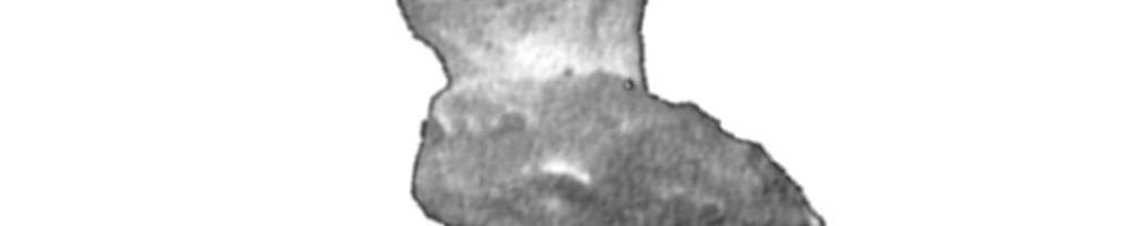 2 El 12 de noviembre de 2014 el módulo Philae, que hasta entonces había permanecido alojado en la sonda Rosetta, y tras un viaje de más de 10 años por el Sistema Solar, tomó tierra en la superficie