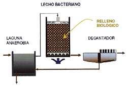2.3 LECHOS BACTERIANOS Los Lechos Bacterianos se encuentran dentro de los sistemas de biopelícula, son procesos aerobios, en el que el agua residual, después de haber sido sometida a un tratamiento