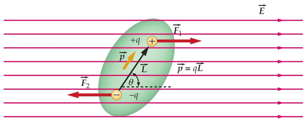 Energía Potencial del dipolo x 0 x 1 x V(x) = - E x U = q i V i = (-q) V (x 0 ) + q