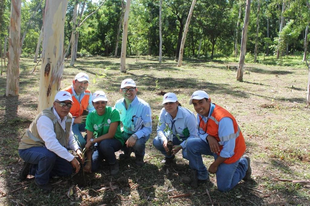 Voluntariado CEMEX Colaboradores voluntarios impulsan: Reforestaciones, limpieza de ríos, playas y