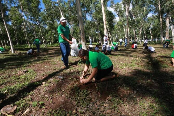 Soluciones en Medio Ambiente Iniciativa Forestal 17, 200 árboles plantados en San Rafael del Sur.