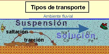 Tipos de transporte en un ambiente fuvial: Tracción, saltación, suspensión y solución. 1.5 Ambientes sedimentarios y facies Los sedimentos son depositados en una gran variedad de lugares.