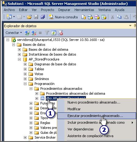 Nota. El nombre de los campos de la tabla de SQL (en este ejemplo Proceso_AuraPortal) no es necesario que coincida con el nombre de los parámetros del Procedimiento Almacenado, tal como se ha hecho