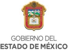 Municipal del Estado de México, y CONSIDERANDO: Que en la Octuagésima Tercera Sesión Ordinaria de Cabildo, de fecha dos de agosto del año dos mil diecisiete, se aprobó el Manual de