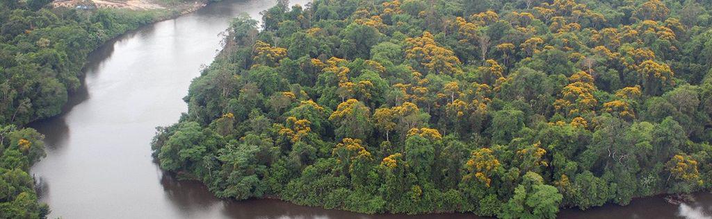 Observación (SdO) se da en el Centro Regional de la Amazonia del INPE en Belem (Brasil).