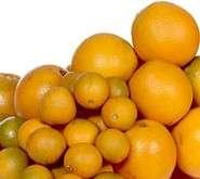 Hospederos de la bacteria: - Cítricos en general: - Todas las variedades de naranja dulce son susceptibles a la CVC.