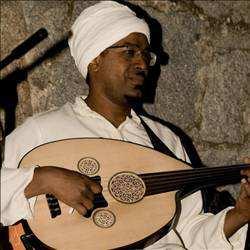 Wafir Shaikheldin, Domina, sobre todo, el acordeón y el laúd árabe; y también los bongos sudaneses -con tres tambores en lugar de los dos habituales- y el saz, y la viola, y el rabab, y los bendires,