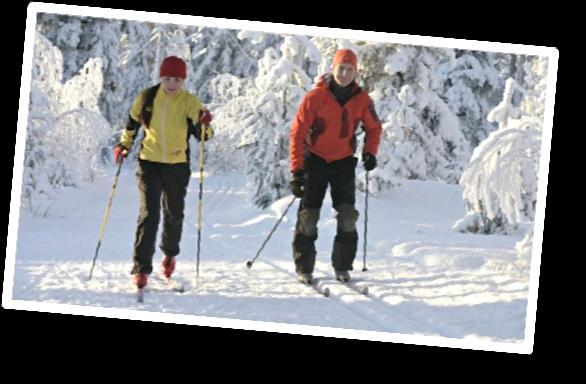 Pueden dedicar la mañana a esquiar en la cercana estación familiar de esquí alpino de Ounasvaara, situada a 3 kms del centro de la ciudad en
