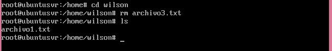 Luego haga un ls a carpeta de su usuario 12. Usando comando rm borre uno de los archivos que creo en Su primer nombre Haga un ls a Su primer nombre 13.