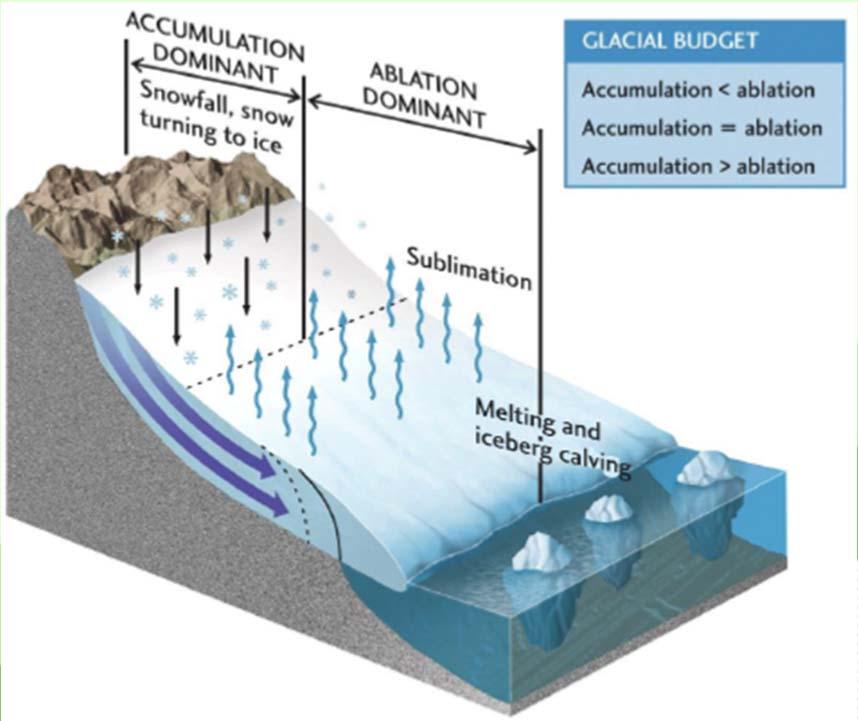 DINAMICA DE GLACIARES: Partes de un glaciar: Zona de acumulación. Zona de ablación. La diferencia entre ganancias y pérdidas de masa de un glaciar se llama balance de masa.