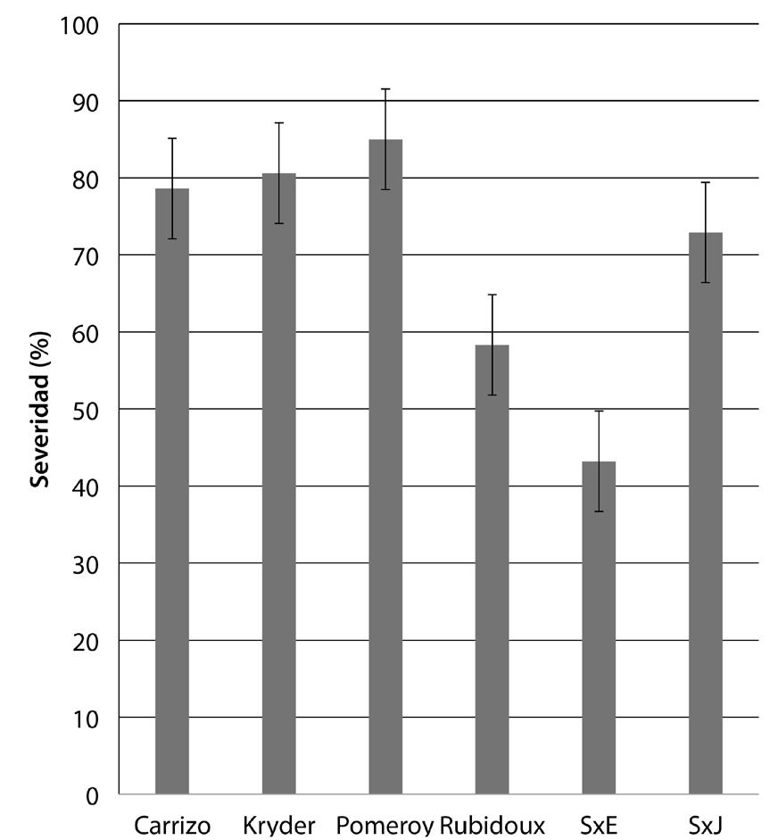 Figura 5. Eficiencia productiva de lima ácida Tahití (Citrus latifolia) promedio acumulada, injertada sobre seis patrones. Corpoica, C. I.