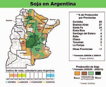 Al ritmo actual de crecimiento de la producción de cereales, en diez años el Mercosur suministrará 425 millones de toneladas de granos por año, un aumento de 113 millones de toneladas por sobre el