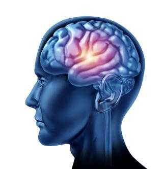 Disfunción cerebral grave Cuando el nivel de leucina aumenta rápidamente a concentraciones elevadas en sangre.