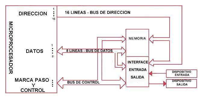 Bus de Datos Este es un bus bidireccional, pues los datos pueden fluir hacia o desde la CPU.