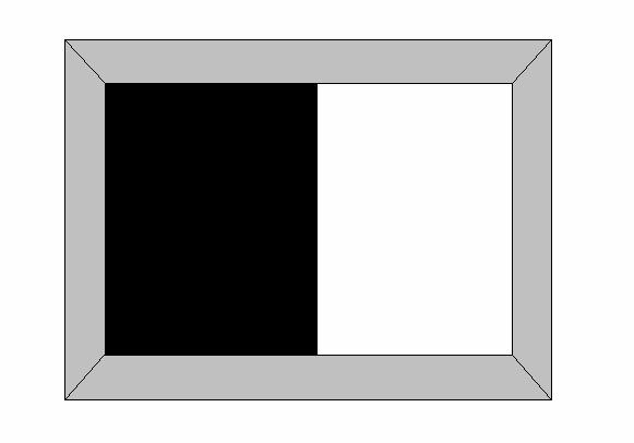 Figura 4.9 Imagen en el monitor tomada por la cámara CCD. Figura 4.10 Salida del comparador LM339 (mitad blanco y mitad negro). En la figura 4.