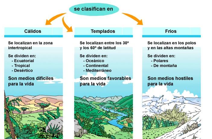 4.- LOS CLIMAS DEL MUNDO 4.1.- CLIMAS CÁLIDOS: se distinguen por tener temperaturas altas en todos los meses del año. Ecuatorial: se localiza en zonas de baja altitud cercanas al Ecuador.