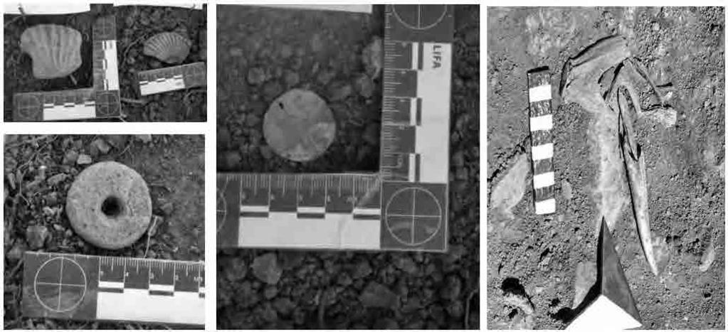 Pieter van Dalen / Contextos funerarios atavillos en Purunmarca, Vichaycocha Huaral Hallazgo 2: Elemento fósil no identificado. Hallazgo 3: Piruro de arcilla con agujero circular.