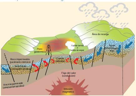ácidos diferenciados o donde existan manifestaciones volcánicas que indiquen la presencia de cámaras magmáticas, estas áreas son caracterizadas por presentar volcanes poligenéticos, es decir que han