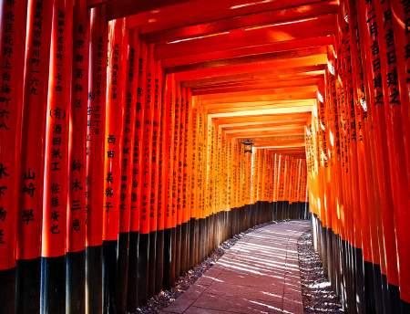 DÍA 12 KYOTO En el último día completo en Kyoto se podrá visitar: Fushimi Inari y sus mies de toriis, el