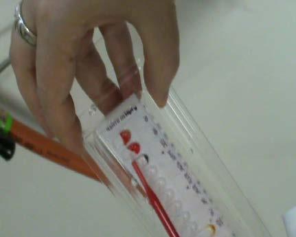 A continuación se rellenan los primeros tubos que son muy cortos y contienen sustratos para detectar la producción de diversos enzimas por parte de la