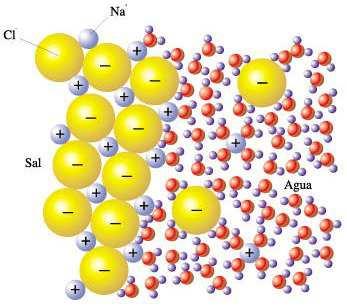 5 ELEVADA CONSTANTE DIELÉCTRICA Por tener moléculas dipolares es un medio disolvente de compuestos iónicos (sales minerales) y covalentes polares