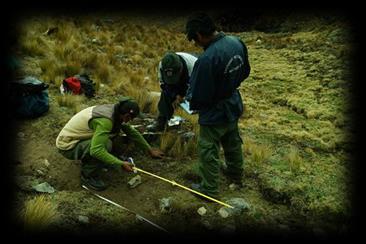 BASES PARA LAC: Erocion en la Red de Camino Inka - SHM 12 10 8 NIVEL DE SATISFACCIÓN: 6 4 2 0 2013