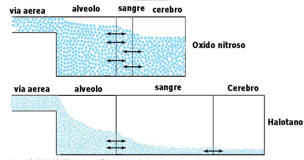 Anestésicos Inhalatorios - Farmacocinética Comparación entre el oxido nitroso ( SOL) y el