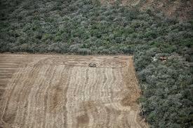 Sin embargo los bienes y servicios de los ecosistemas están en riesgo: La tasa de deforestación de México es una de las más altas en Latinoamérica y a nivel mundial.