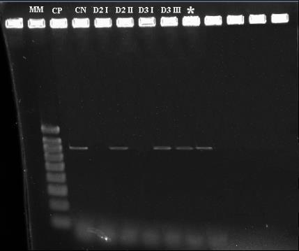 IFT, PCR e