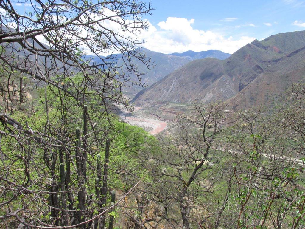 TÍTULO STRATEGIA CONTENIDO DE 6) Monitoreo y Evaluación: Iniciativas de Conservación en Estudio Valle del Río Torobamba