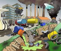 Estado del ambiente Pérdidas de hábitats, contaminación del aire, contaminación del
