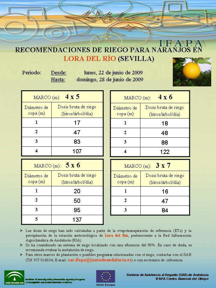 Tabla 1. Ejemplo de Programa de Riego para un Olivar en el Municipio de Hornachuelos (Córdoba) de densidad 100 olivos/ha y desarrollo medio-alto (Volumen de copa de 9.000 m 3 /ha).