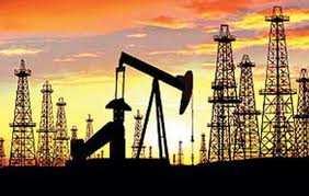 Acciones Desarrolladas Cluster de Petróleo y Gas Polo