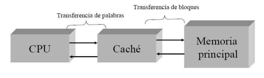 Memoria Cache La memoria cache es usada por el sistema de memoria para mantener la información mas comúnmente usada por el procesador, evitando así los relativamente lentos accesos a la memoria
