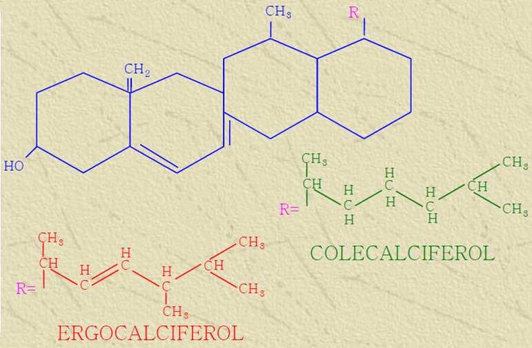 La vitamina D, es un esterol que presenta cuatro formas moleculares: D 2 (calciferol), D 3 (colecalciferol), D 4, D 5.