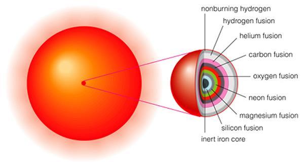 estructura interna de una estrella de alta masa en sus últimas etapas de evolución H inerte fusión del