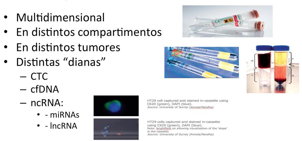 CTC y Ácidos Nucleicos Circulantes: Futuro