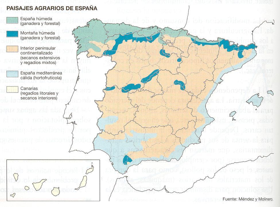 2. El mapa representa la distribución de los diferentes paisajes agrarios de España.
