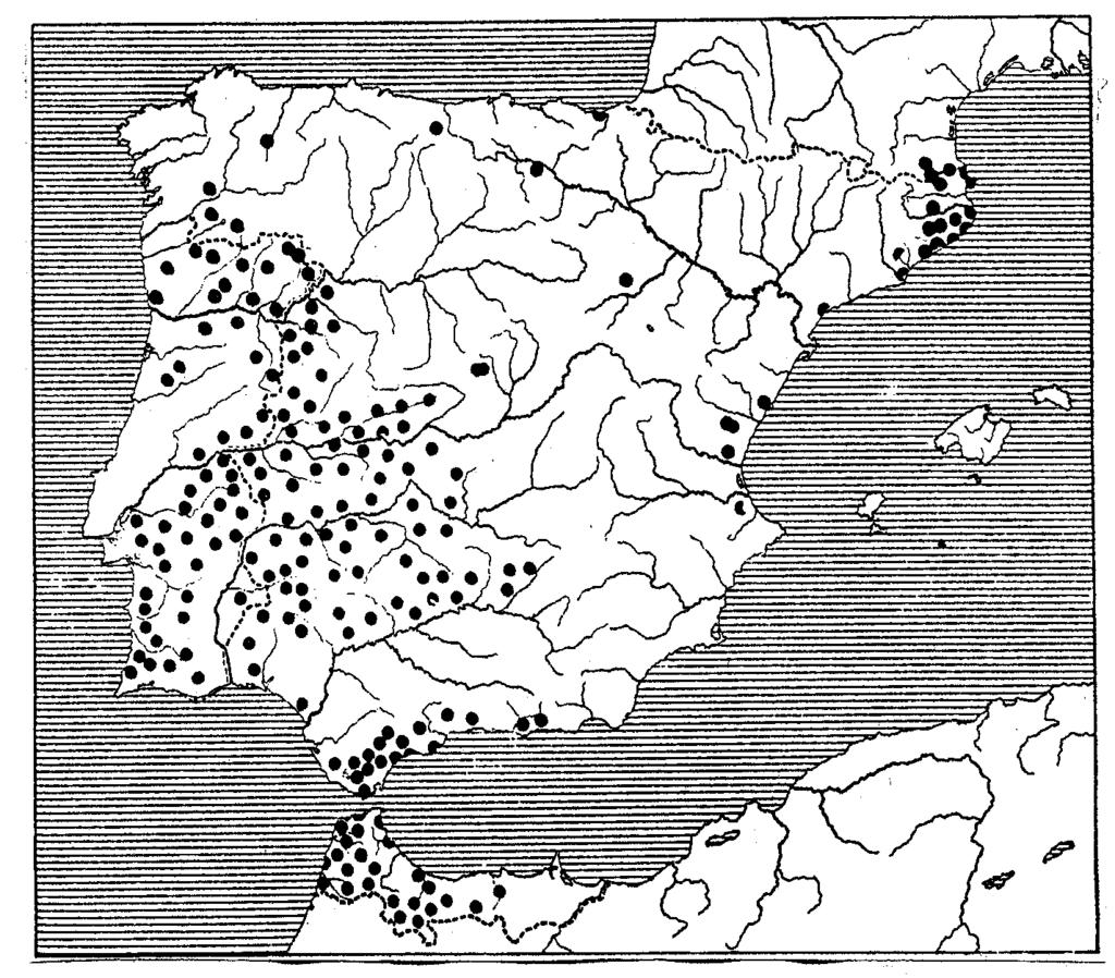 2. El mapa representa la distribución del alcornoque en la Península Ibérica.