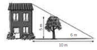 9.- Un árbol mide 5 m de altura y, a una determinada hora del día, proyecta una sombra de 6 m. Qué altura tendrá el edificio de la figura si a la misma hora proyecta una sombra de 10 