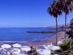 {phocamaps view=map id=1} ADEJE Playa de Troya La playa más veterana de este