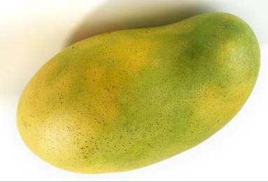 Objetivo: Investigar el efecto del mango disecado por
