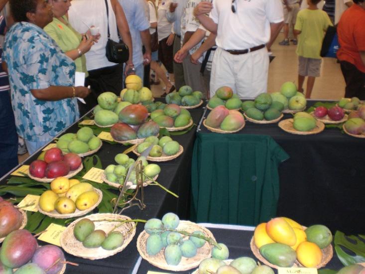 potenciales para mango fresco y fresco