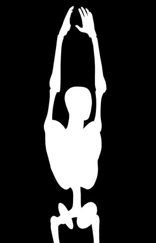 Flexión y Extensión lumbar: Levante sus brazos lo más alto que