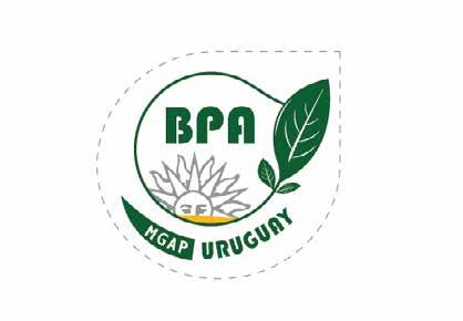 ANTECEDENTES BPA 2015 Logo