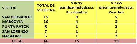Tabla No. 4. Resultado del Muestreo de camarón Juvenil realizado en granjas de producción - 2013 (Vibriosis). Sector Total de pool TOTAL DE POSITIVOS VIBRIOSIS Abril Julio Sept. Oct.
